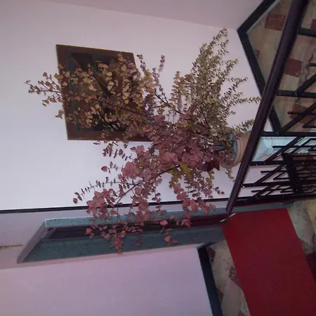Hotel Marligure