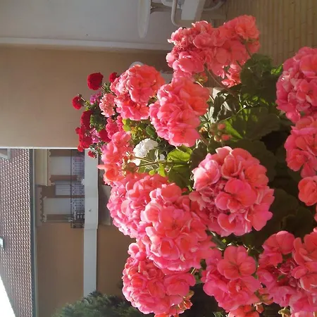 Marligure Bordighera