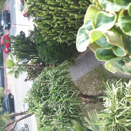 Marligure Bordighera