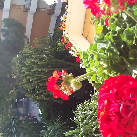 Hotel Marligure 3*