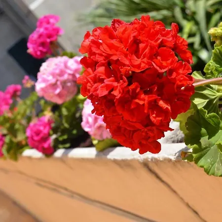 Marligure Hotel